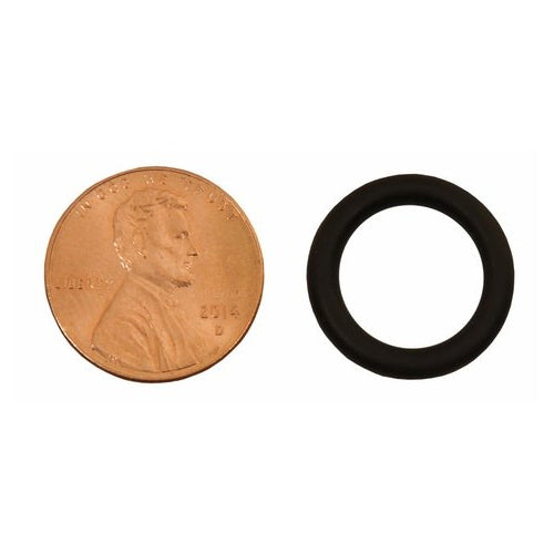 A black 'O' ring beside a penny for scale.