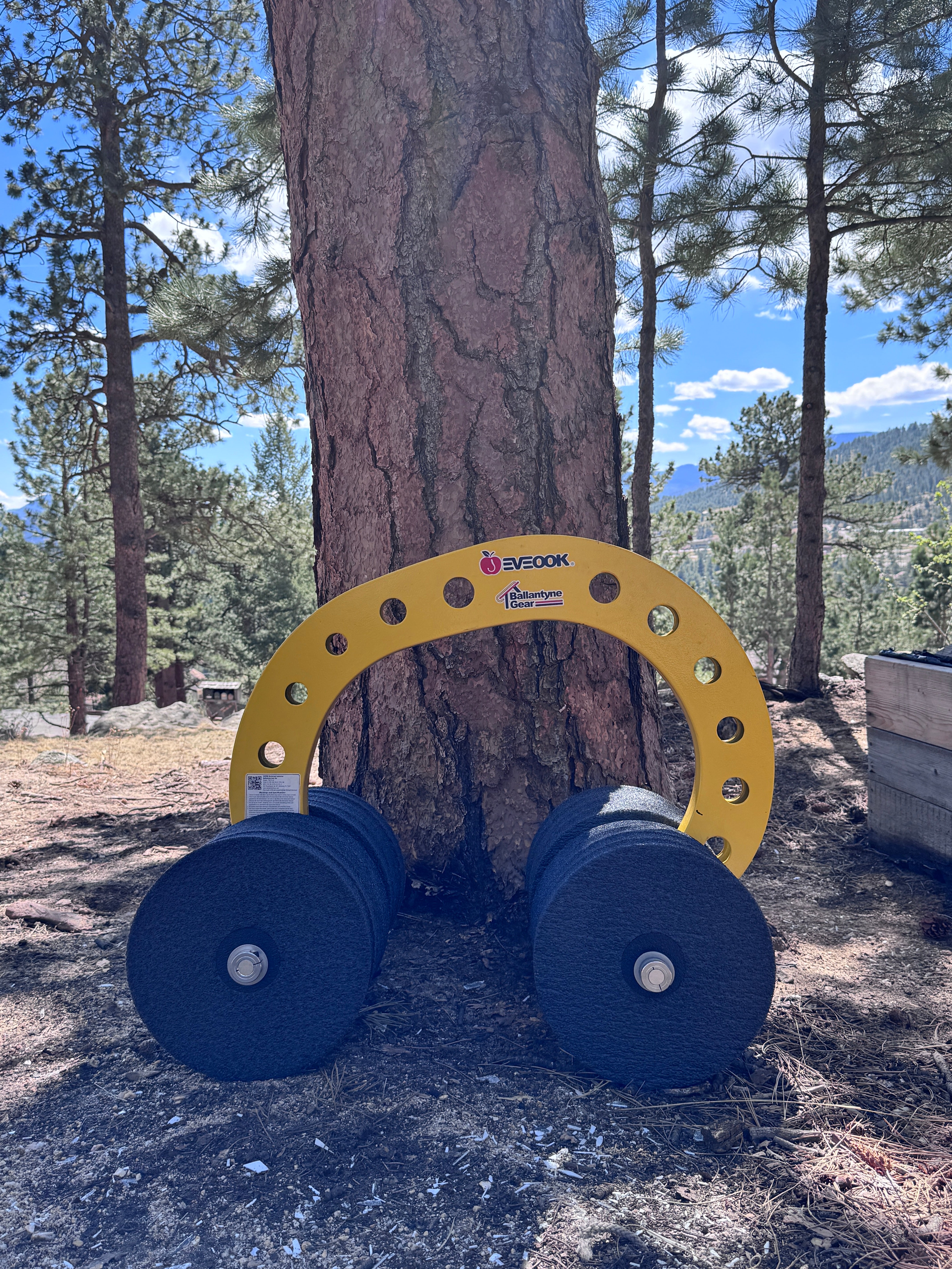 Eveook roof anchor in front of a large tree 